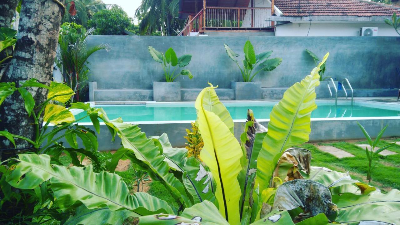 Surf Gangs Arugambay Hotel Arugam Bay Exterior foto